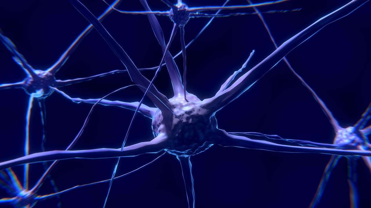 Neuroscience and fasting