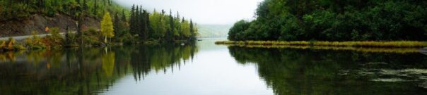 Calm river surrounded by trees - mobility and stretching